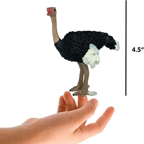 Gemini&Genius Ostrich Animal Action Figure Toys, Jungle Animal Playset Gift, Educational Cake Toppers for Kids Ages 3+