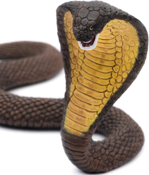 6" 3+ Safari Ltd. Cobra Figurine - Detailed Snake Figure - Educational Toy for Boys, Girls, and Kids Ages
