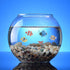 12PCS Tropical Fish Toys, Educational Ocean Animal Figures Set, Miniature Toys for Boys and Girls, Themed Party Favor