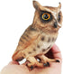 Simulated Owl Model Figure Toy, Realistic Owl Animal Figurines Collection for Home Decor