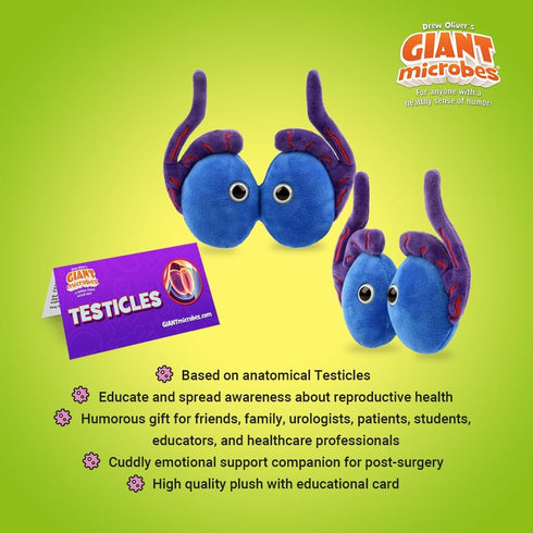 GIANT MICROBES Testicle Plush Toy, Testicular Cancer Awareness Gift, Urology Nursing, Gag Gift