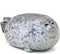 EHOTONG Cute Blob Seal Pillow, Chubby Seal Plush Hug Pillow, Gray, 15"