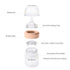 0M+ (2 Pack, 3 Yooforea Silicone Coated Glass Baby Bottle, Slow Flow Nipple I Anti-Colic, Wide Neck, Stable Base I