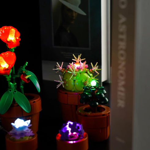 LED Lighting Kit for Lego 10329 Icons Tiny Plants Building Kit - Lights Only, No Building Block Model