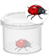 Coopay 16 Pieces Bug Viewer, Critter Insect Cage Magnifying Container, Science Nature Exploration Tools