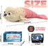 2.4Ghz 8-12 8,9,10 Pool Toys Amphibious Remote Control Seal on Land Water Rechargeable Battery Remote Control Shark