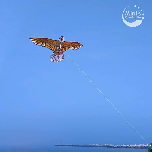 Huge Bald Eagle Kite for Adults & Kids, Easy to Fly Single Line Kite for Beach Trips