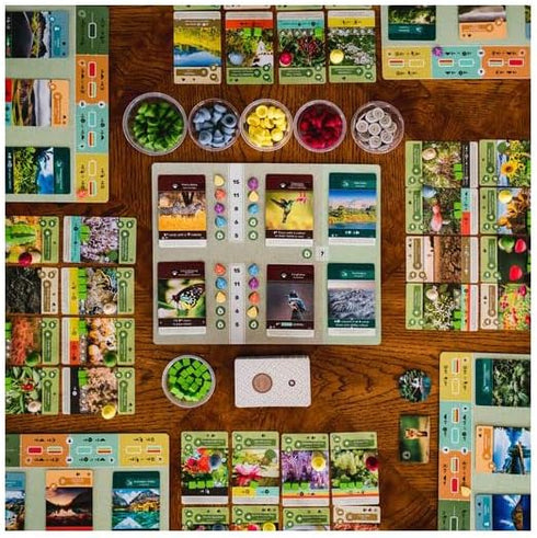Inside Up Games Earth - The Board Game, Ecosystem Building, Card Drafting for 1 to 5 Players