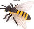 Bee Growth Cycle, Biological Model for Kids Education, Lifelike Bee Life Cycle Model Set for Insect Themed Party Favors