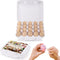 Wooden Eggs, 20-Count Unpainted in Carton for Painting, Crafts, and Dyeing, Food