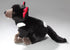 Carl Dick Tasmanian Devil Plush Toy, 11.5 inches, Soft Stuffed Animal 3508