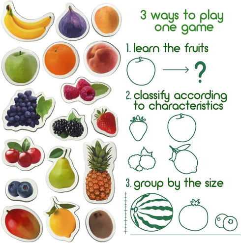 PHOTO FRUITs&Berries - Large Kitchen Magnets for Toddlers - Educational Learning Toys for Kids, Development Magnets