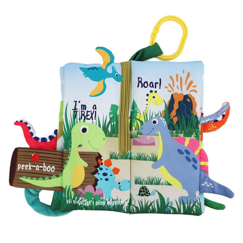 Set 0-6-12-18 Dinosaur Infant Toys Crinkle Books Touch and Feel with Dino Teether and Paci Clip Babies Months