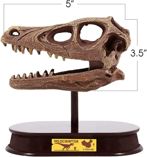 ArtCreativity Dinosaur Excavation Kit for Kids, Velociraptor Skull Excavating Set, Educational Dinosaur Gift
