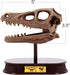 ArtCreativity Dinosaur Excavation Kit for Kids, Velociraptor Skull Excavating Set, Educational Dinosaur Gift