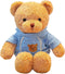 11.8 inches Teddy Bear Stuffed Animals - Soft Plush Cute Teddy Bear with Hoodie Doll for Boys Girls (Blue)