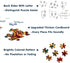 Tree of Life Puzzles for Adults, 1000 Pieces, Mandala Tree Jigsaw, Nature Plant Round Puzzles