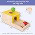 Adena Montessori 4 in 1 Wooden Play Kit for Kids 1-3, Object Permanence Box, Color Drop Game, Ball Drop Toy