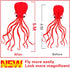 Hengda Kite Software Octopus Flyer Kite, Long Colorful Tail for Kids and Adults, Easy to Fly