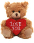 Plushland Mocha Heart Bear - 9 Inch Plush Toy for Kids & Adults, Embroidered Heart Pillow, Brown