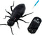 Tipmant RC Car Vehicle Remote Control Ants Electric Insect Kids Toy for Birthday Christmas