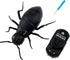 Tipmant RC Car Vehicle Remote Control Ants Electric Insect Kids Toy for Birthday Christmas