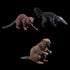 Realistic 7pcs Animal Figures Action Model Set, Educational Learning Toys Birthday Gift for Kids and Toddlers