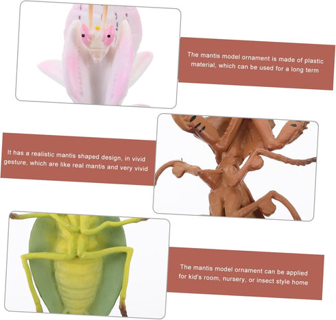 TOYANDONA Desktop Decor - 3pcs Plastic Playes Realistic Simulation Model Small Mantis Decoration