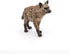 Papo Spotted Hyena Figure - African Wildlife Toy for Kids Age 3+, Hand Painted Carnivore Model