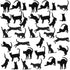 Grenerics 36PCS Black Cat Wall Stickers, Cat Vinyl Decals for Kids Bedroom Wall Art by Baryuefull