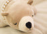 MMTTAO 14 Inch Polar Bear Plush Toys - Stuffed Animals Dolls Small Brown Sleeping Bear Collection