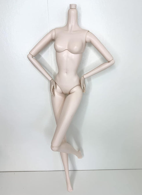 DIY OOAK Doll Bodies for Replacement 12 inch Fashion Doll Body, Supermodel Collector, Articulated Jointed Posable