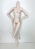 DIY OOAK Doll Bodies for Replacement 12 inch Fashion Doll Body, Supermodel Collector, Articulated Jointed Posable