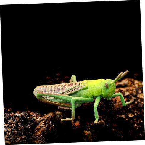1pc Animal Model Christmas Ornaments, Educational Outdoor Playset Decor, Hanging Wall Decor Fake Grasshoppers Figurine