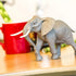 7.6" 3+ Safari Ltd. African Bull Elephant Figurine - Realistic Wildlife Figure - Educational Toy for Boys, Girls