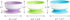 Munchkin Stay Put Suction Bowls, 3 Pack - Baby and Toddler, Blue/Green/Purple