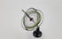 1917 TEDCO Classic Gyroscope Nostalgic Carton Edition - Timeless STEM Toy Since Teaches Motion, Balance & Inertia Made