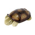 Cloud b Calming Nightlight Star Projector, Gentle Brightness, 3 Colors, 8 Constellations, Auto-Shutoff, Twilight Turtle