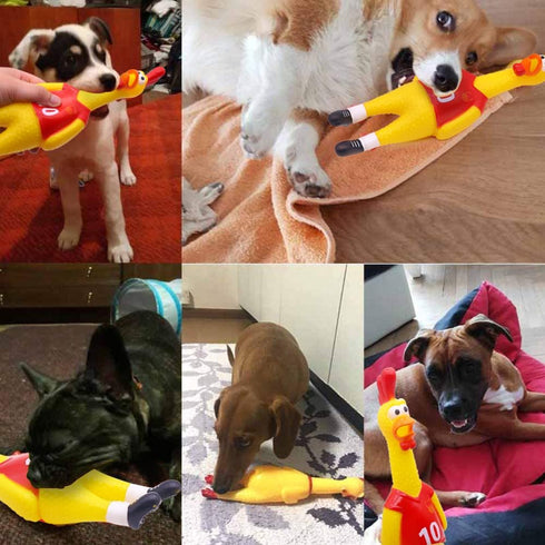 14inch POPLAY Rubber Chicken Grade Latex Squeeze Chicken Prank Novelty Pet Toys for All Age Groups Gift for Children