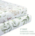 2 Pack 38X26 Pack 100% TCBunny Premium Fitted Baby Mini Crib Sheets, N Play Bassinet Sheets - Ultra-Soft Cotton