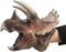Gemini&Genius Large Triceratops Dinosaur Hand Puppets, Realistic Soft Rubber Dino Head Role Play Toy for Kids and