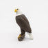 3+ PAPO - Sea Eagle - Realistic Figurine - for Ages - Wild Animal Kingdom Collection - Hand Painted - Highly Detailed