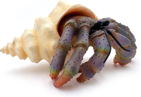 Gemini&Genius Sea Animal Hermit Crab Action Figure Toy for Kids, Realistic Ocean Crab Educational Role Play Toy
