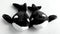 Make My Day 2PCS Premium Orca Stuffed Animal - 11.8 Inches Orca