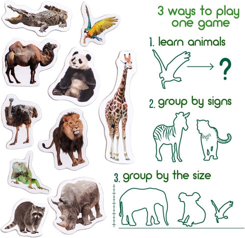19 Fridge Magnets for Toddlers, Zoo Photo Kids Magnets for Refrigerator, Animal Magnets