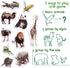19 Fridge Magnets for Toddlers, Zoo Photo Kids Magnets for Refrigerator, Animal Magnets