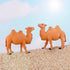 Hand Painted Camel Figurines, Miniature Animal Statue for Cake Toppers, Moss Landscape Decoration (20pcs)