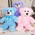 Wgxzyq 12inch Teddy Bear Stuffed Animal, Teddy Bear Plush Toy, Birthday Valentine's Day Xmas Gifts for Kids Boys Girls