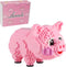 Larcele Micro Pig Building Blocks Mini Toy Bricks, 1547 Pieces KLJM-02 (Model 558)