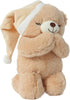 10" Linzy Plush "Now I Lay ME Down to Sleep Prayer Bear Plush Toys, Stuffed Animal, for Baby Boy Or Baby Girl